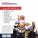 Dây và cáp điện LiOA trên con đường phát triển
